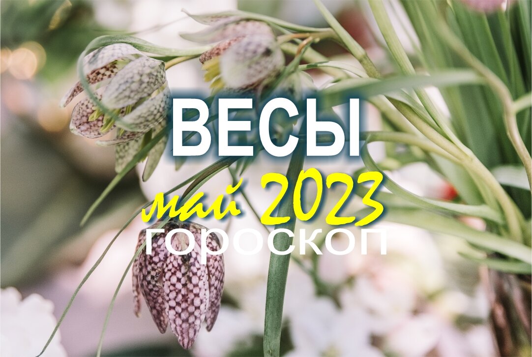 Энергетический прогноз на май 2024