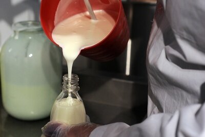    Кефир ©Алексей Сухоруков РИА Новости