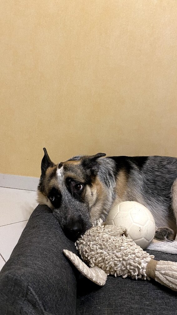 Фото- собственность канала