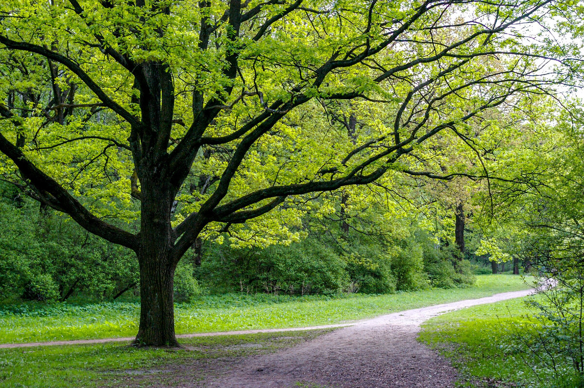 Красота сада в руках тех, кто о нем заботиться