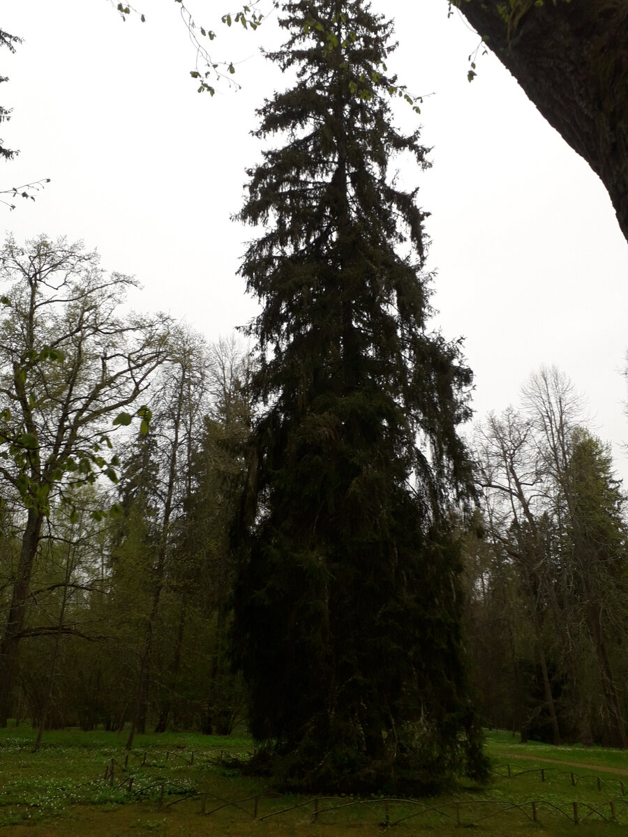 30 апреля 2023 12:48