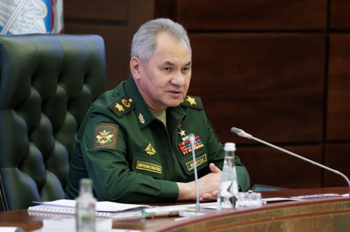    Министр Сергей Шойгу досрочно присвоил новые звания чеченским командирам