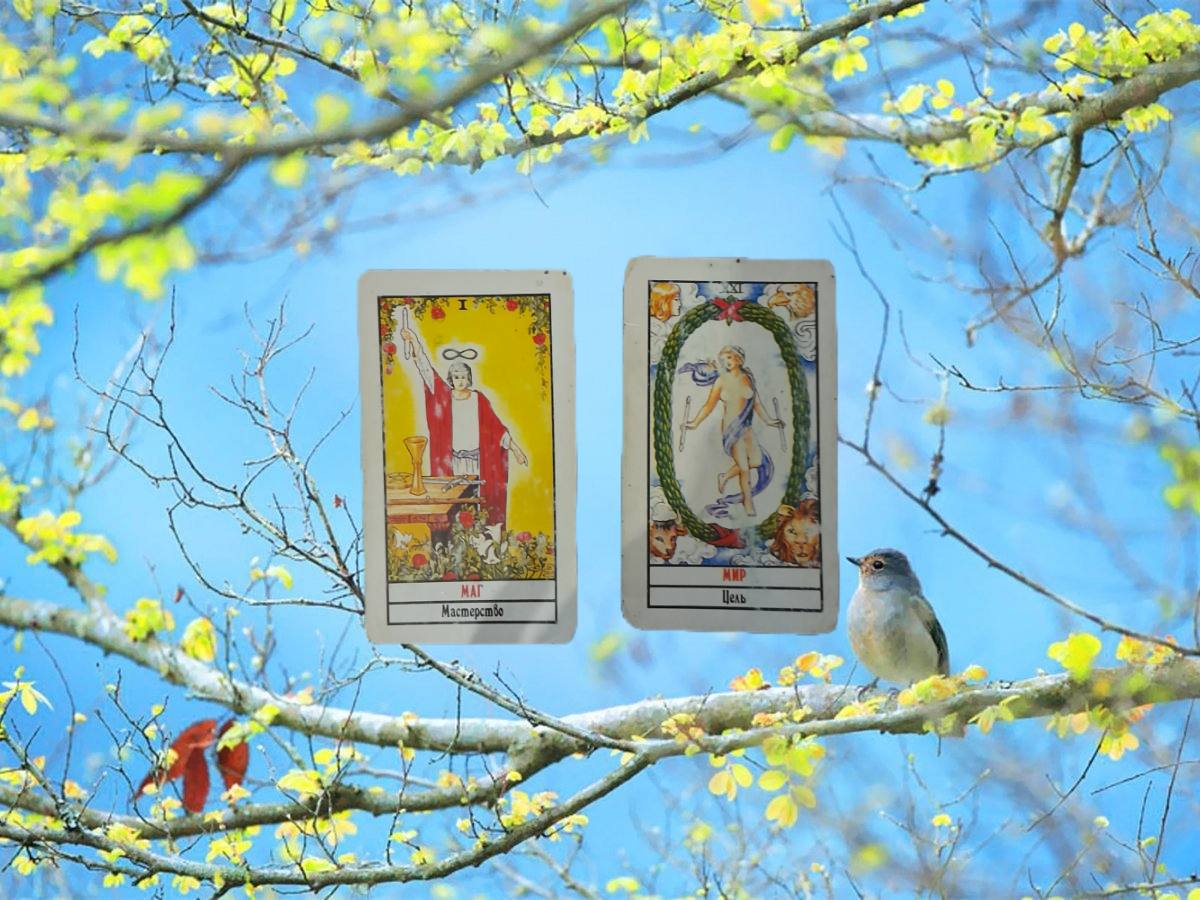 переходим к описанию