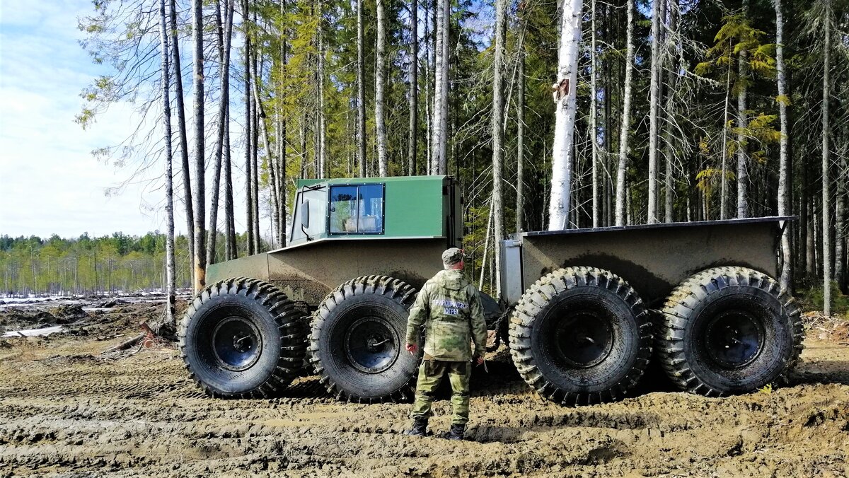    Охотников Югры предупредили о соблюдении правил в лесах