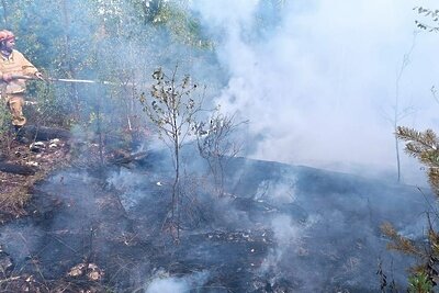    Лесной пожар в Рязанской области © Пресс-служба Комитета лесного хозяйства Московской области