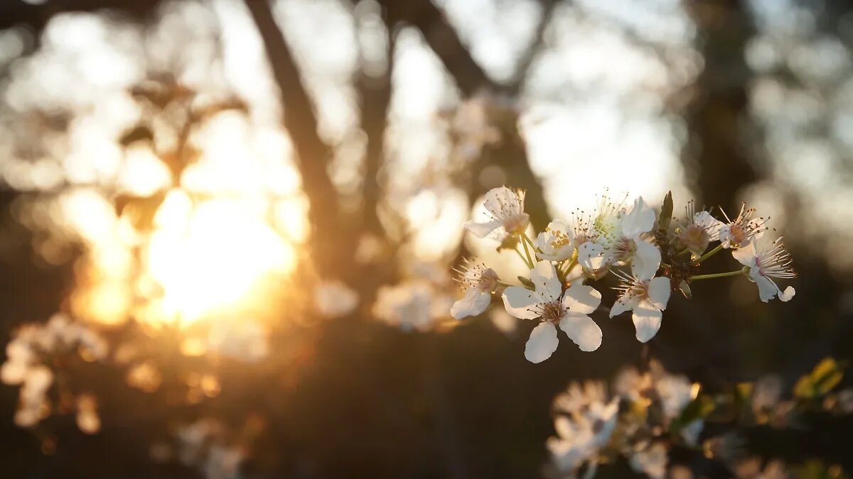 Потоки геоударов могут привести к шокирующим магнитным бурям. Фото: pxhere.com