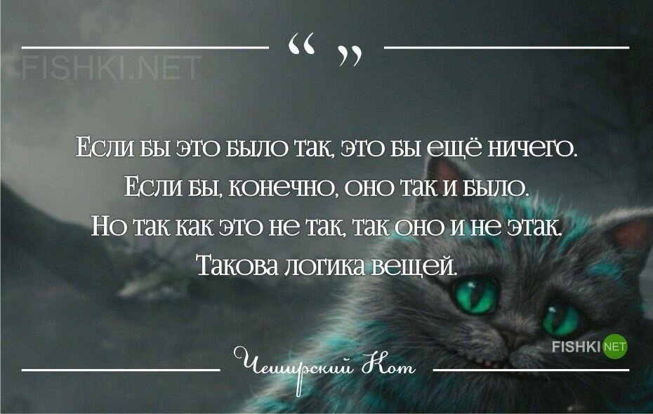 Где глупость образец там разум безумие тире