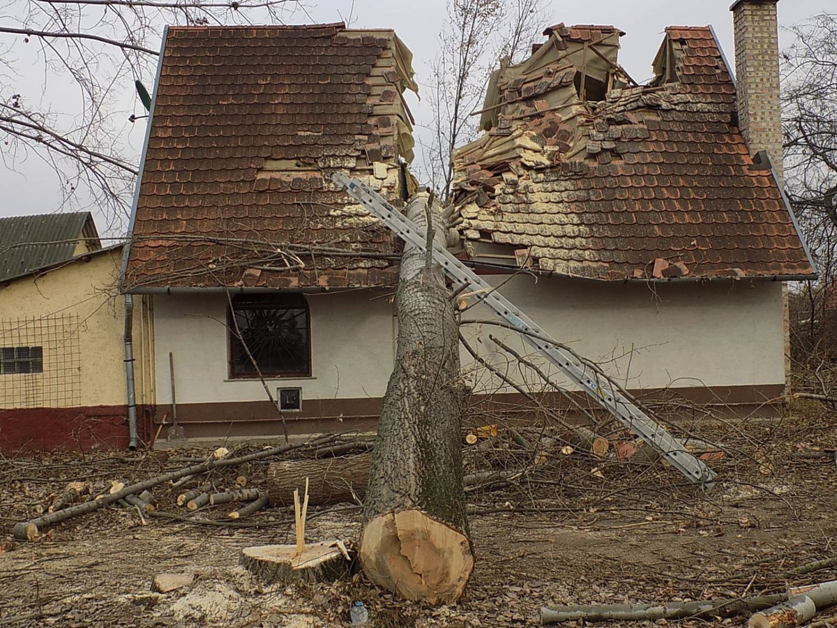 Кто спиливает деревья около дома. Дерево упало на дом. Упавшее дерево на дом. Дерево упало на частный дом. Падение дерева на дом