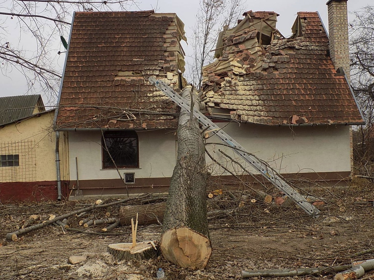 Дерево упало на дом. Упавшее дерево на дом. Дерево упало на частный дом. Падение дерева на дом.