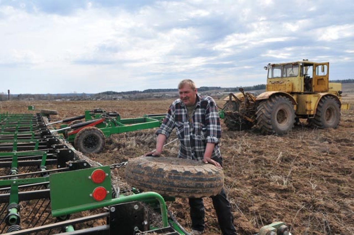    В Томской области в 5 районах приступили к полевым работам