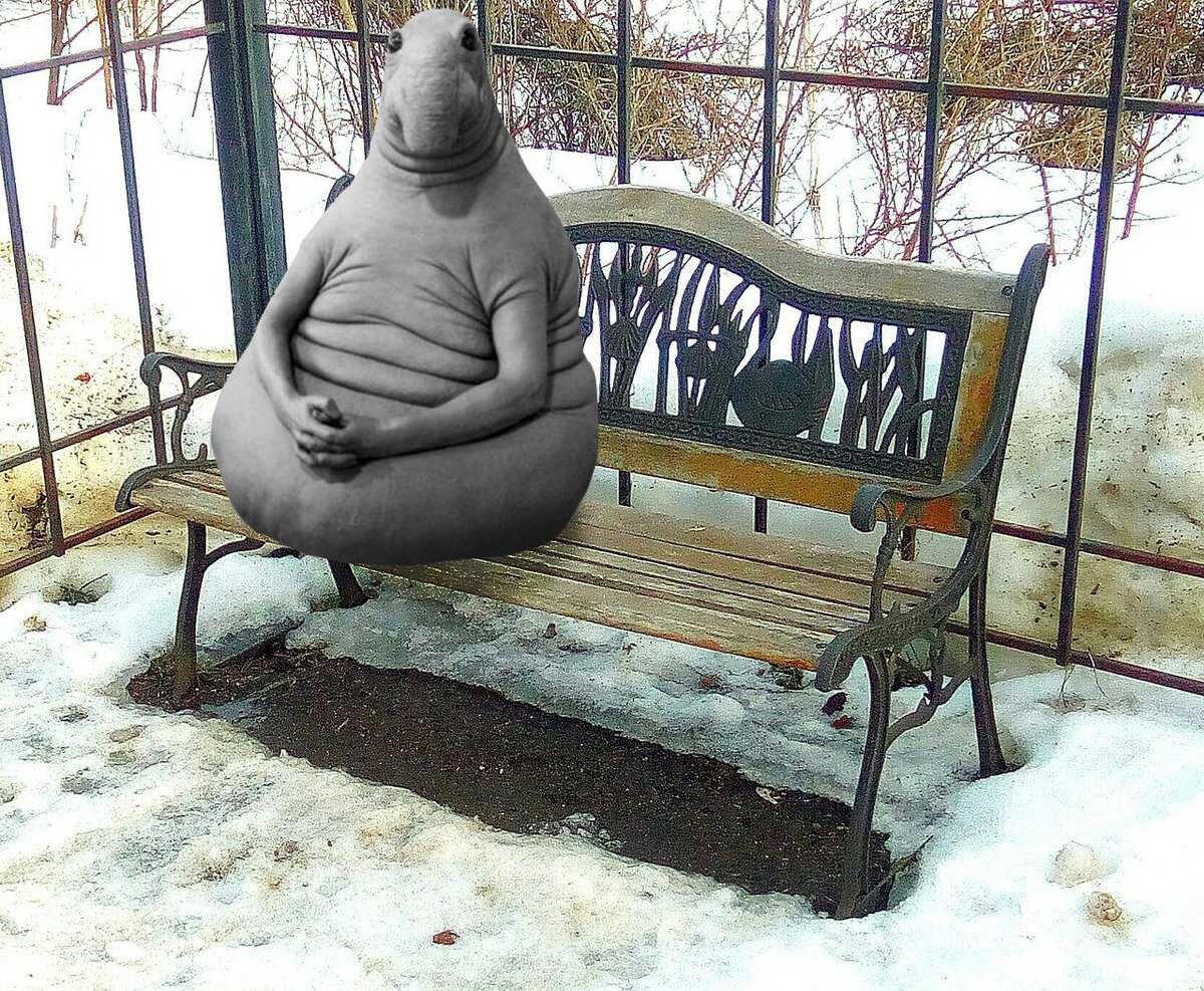Жду тепла