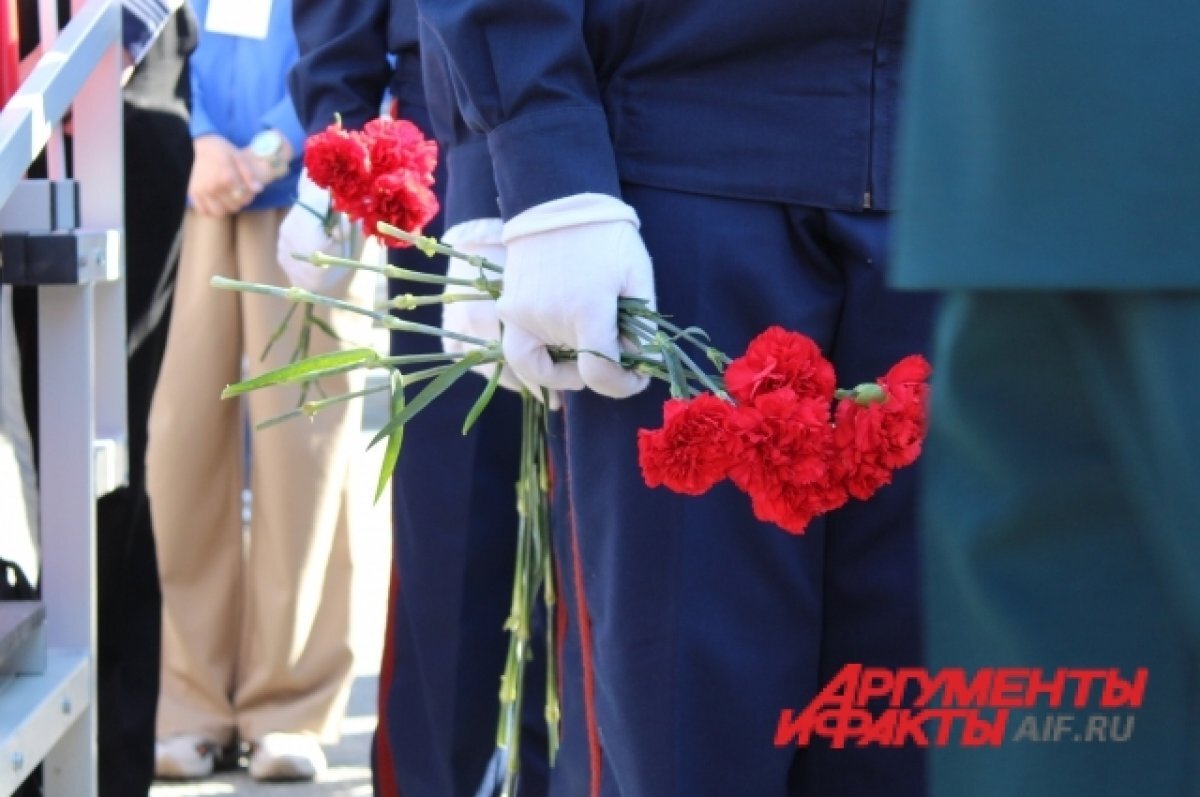    В новых регионах рассказали о подготовке ко Дню Победы