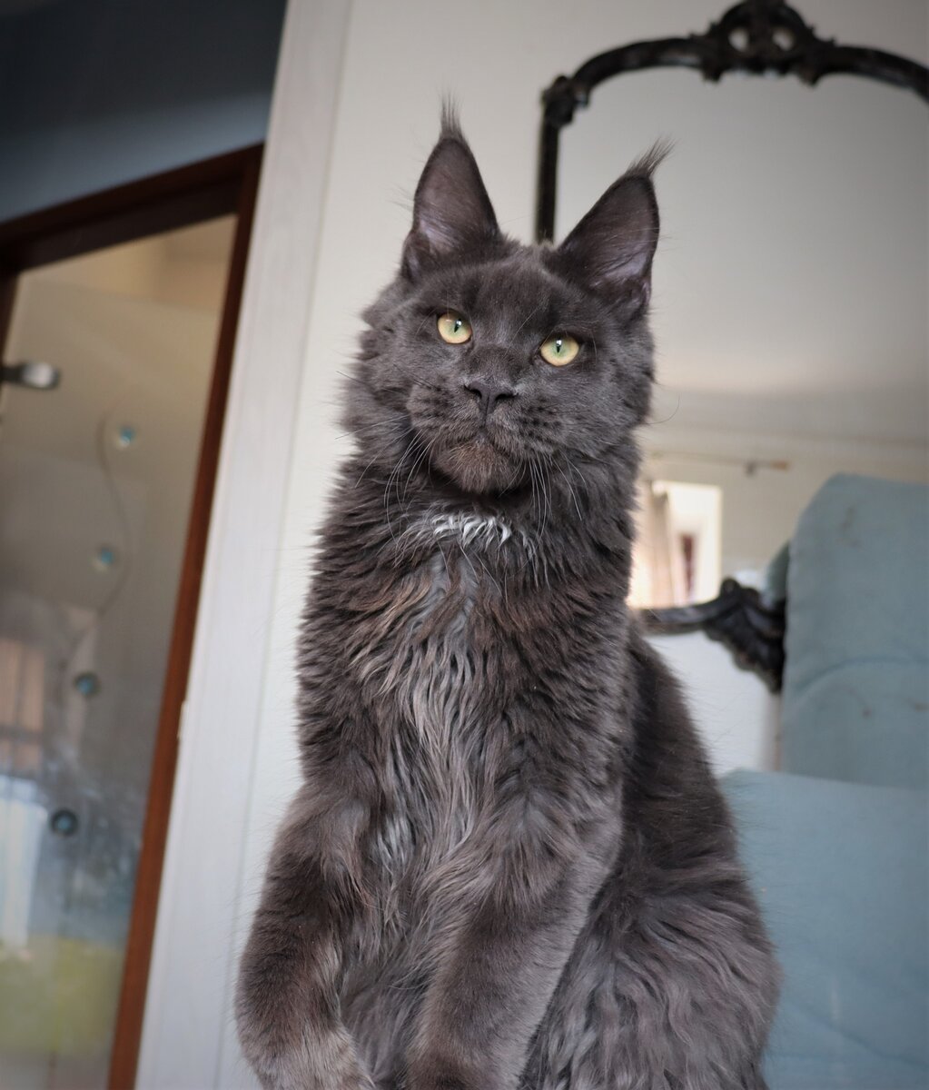 Фото из личного архива.