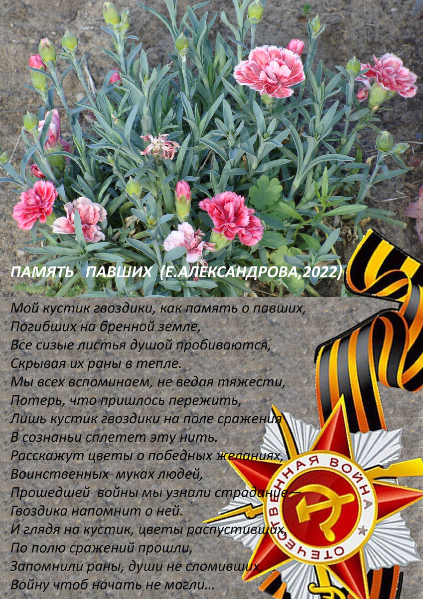 Фотооткрытка сайт красные-маки.рф г.Ижевск Удм.Респулика