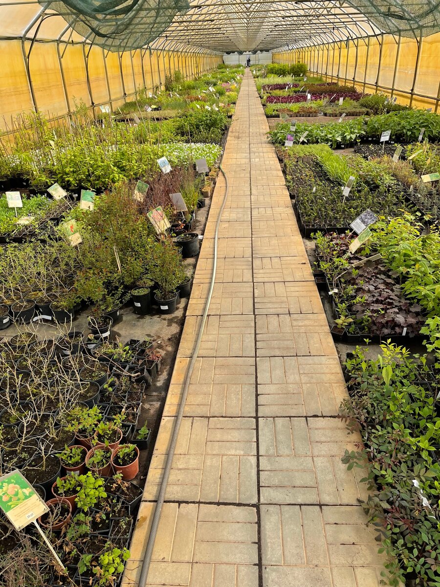 Если присмотреться, то можно увидеть, что у дальнего выхода стоит человек. Для понимания масштаба. 