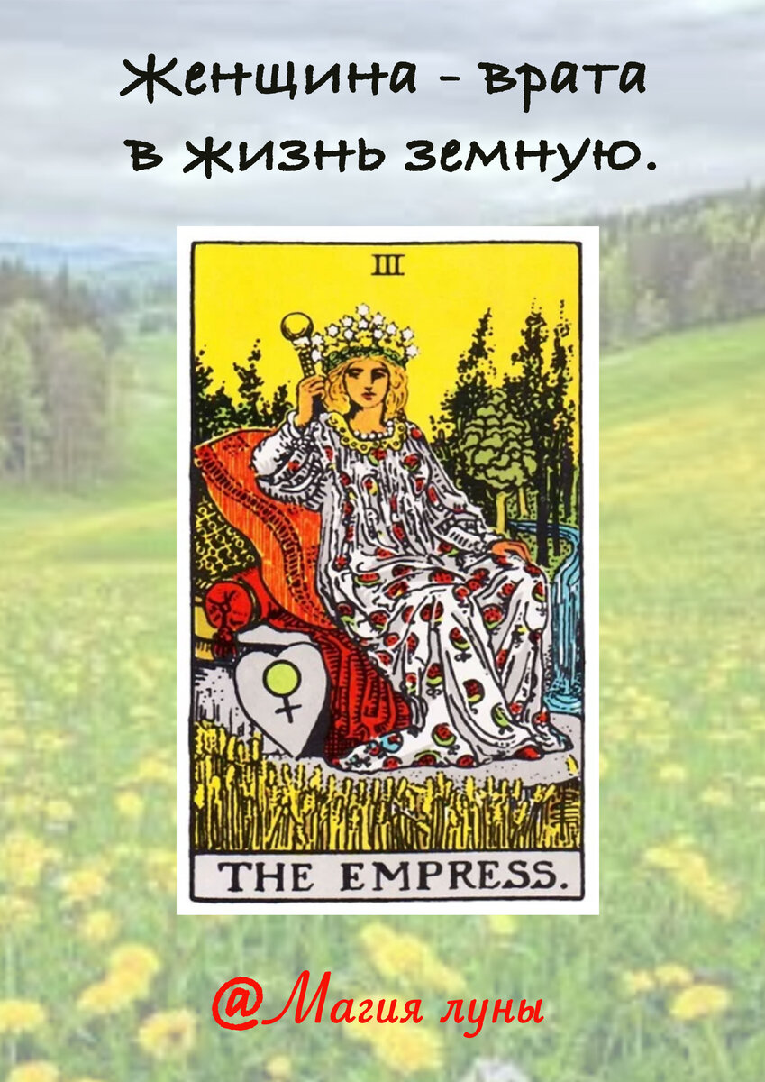 жрица таро 