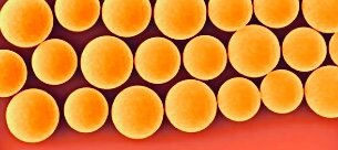 Как происходит сжигание жира?