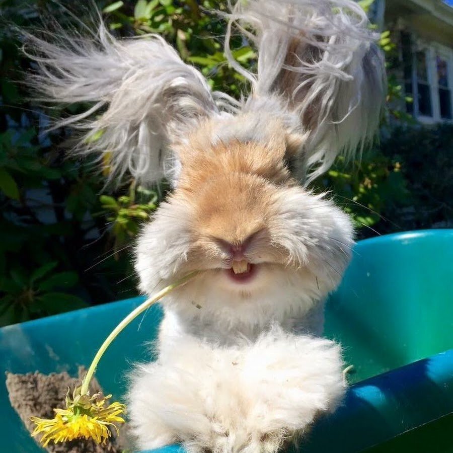 Из интернета