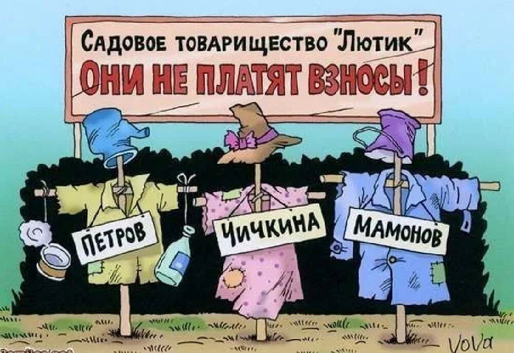 Смешные картинки про снт