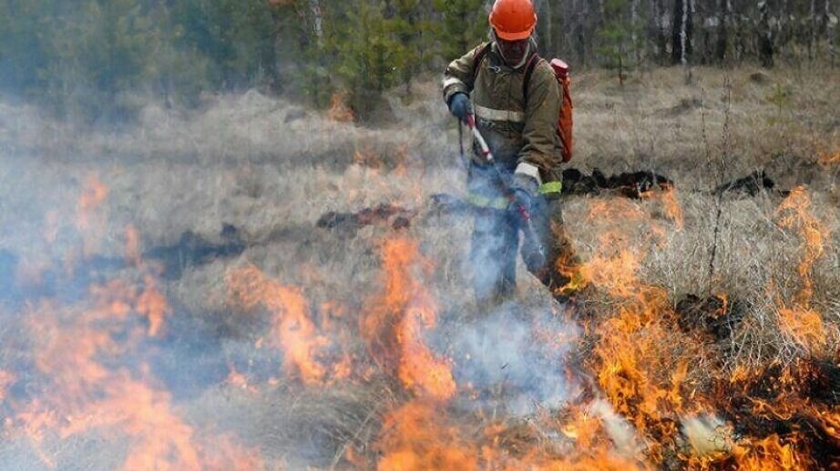     За длинные выходные было зафиксировано более сорока огненных аномалий в тайге. Как утверждают власти, большинство возгораний было потушено.