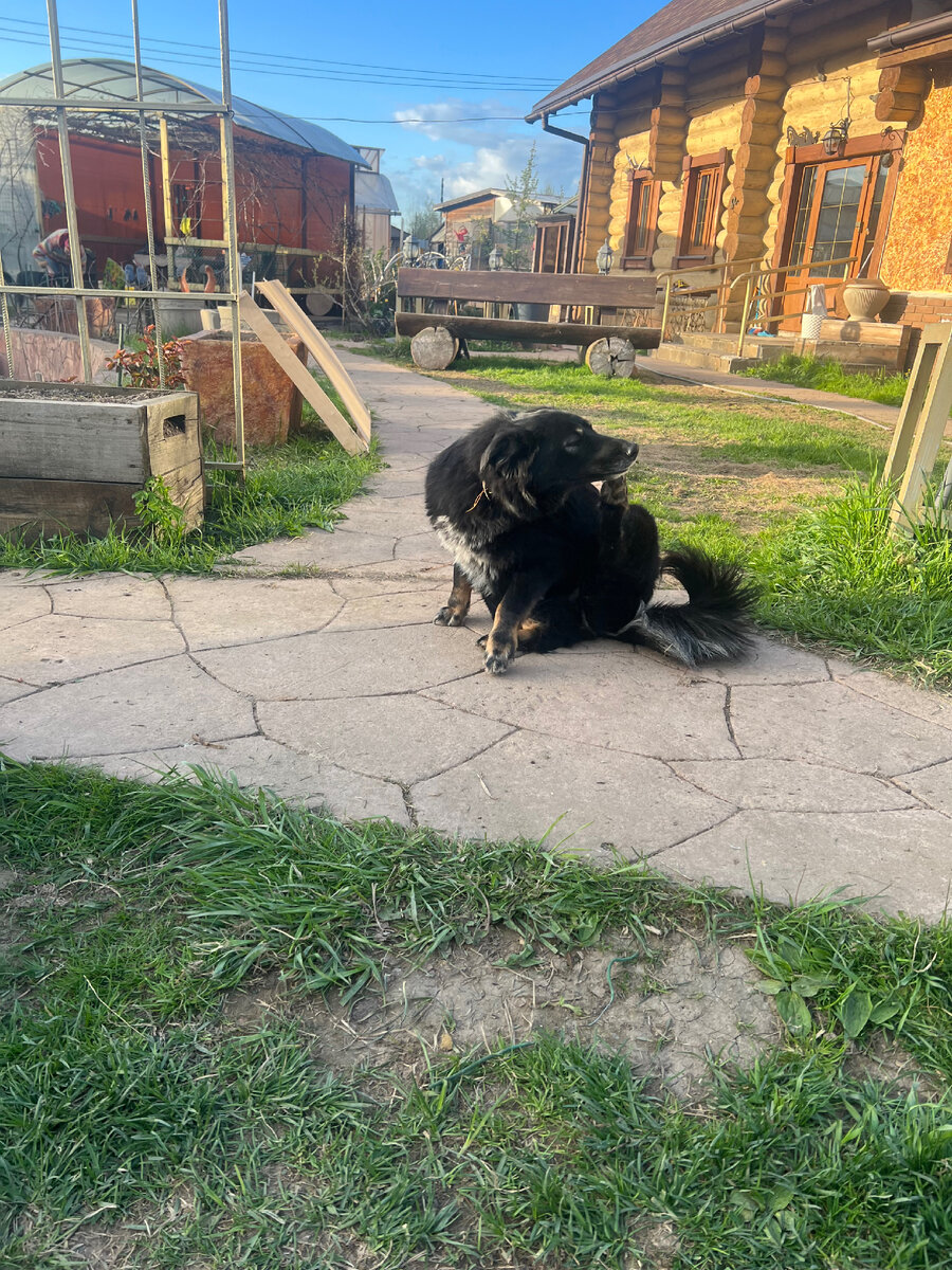 Всегда задумываюсь о том, насколько Масютя фотогенична. 