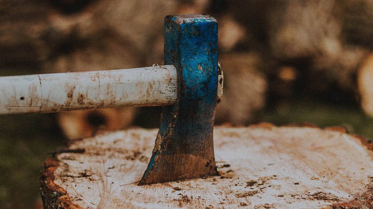    Фото: Unsplash