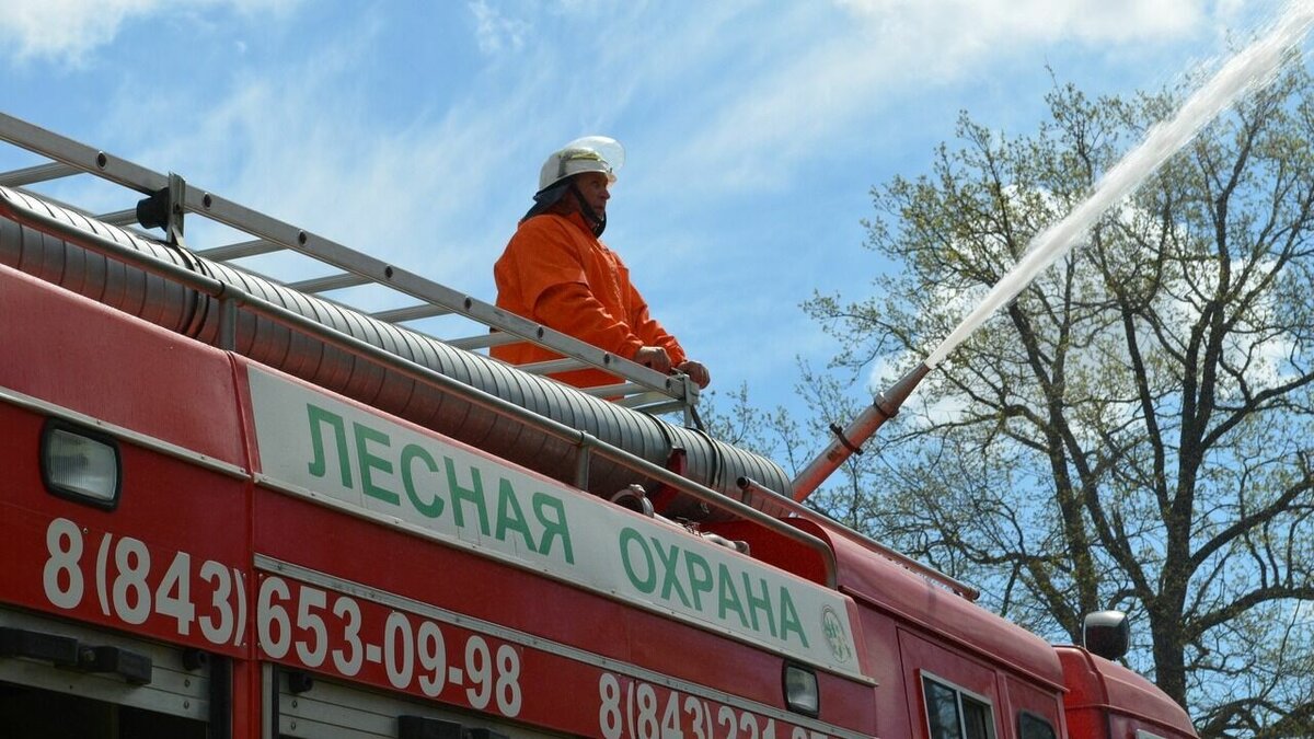     В Татарстане объявили штормовое предупреждение из-за сохранения большой пожарной опасности лесов. Соответствующая информация появилась на сайте республиканского гидрометцентра.