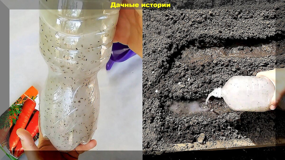 https://vk.com/photo-159774511_457260267