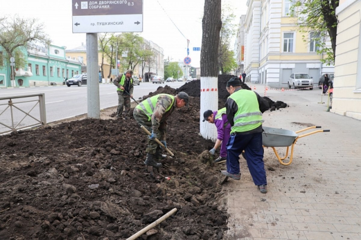   В Туле приводят в порядок газоны