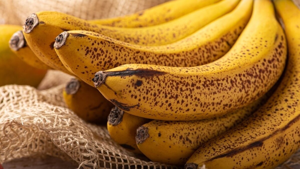   Milton Buzon/Shutterstock.com