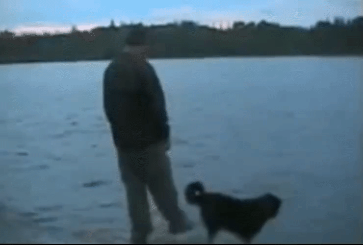 Мгновенная карма :)