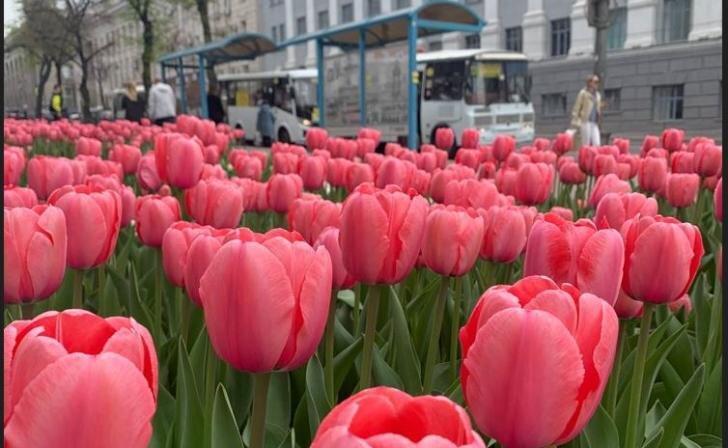    Источник фото: архив Курских известий