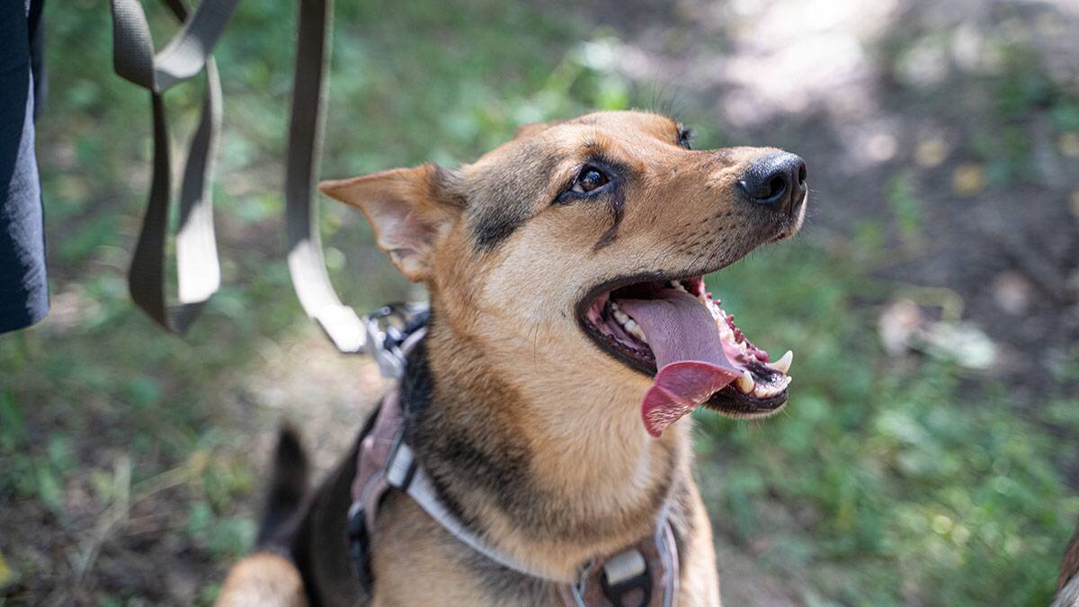    Фото: Анна Темнышова / Вечерняя Москва