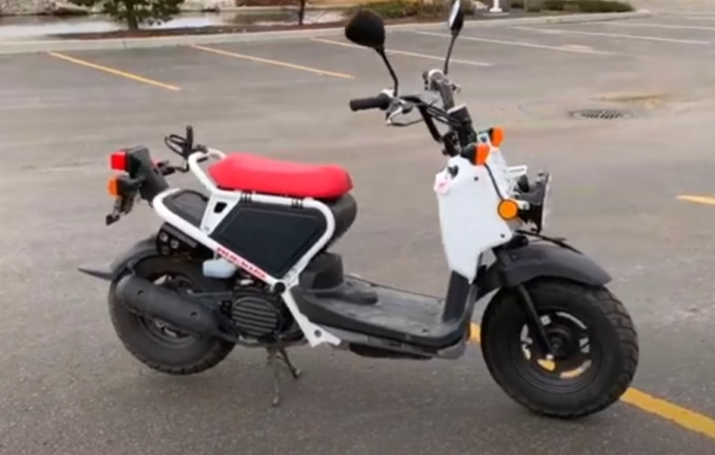 Honda Ruckus nps50