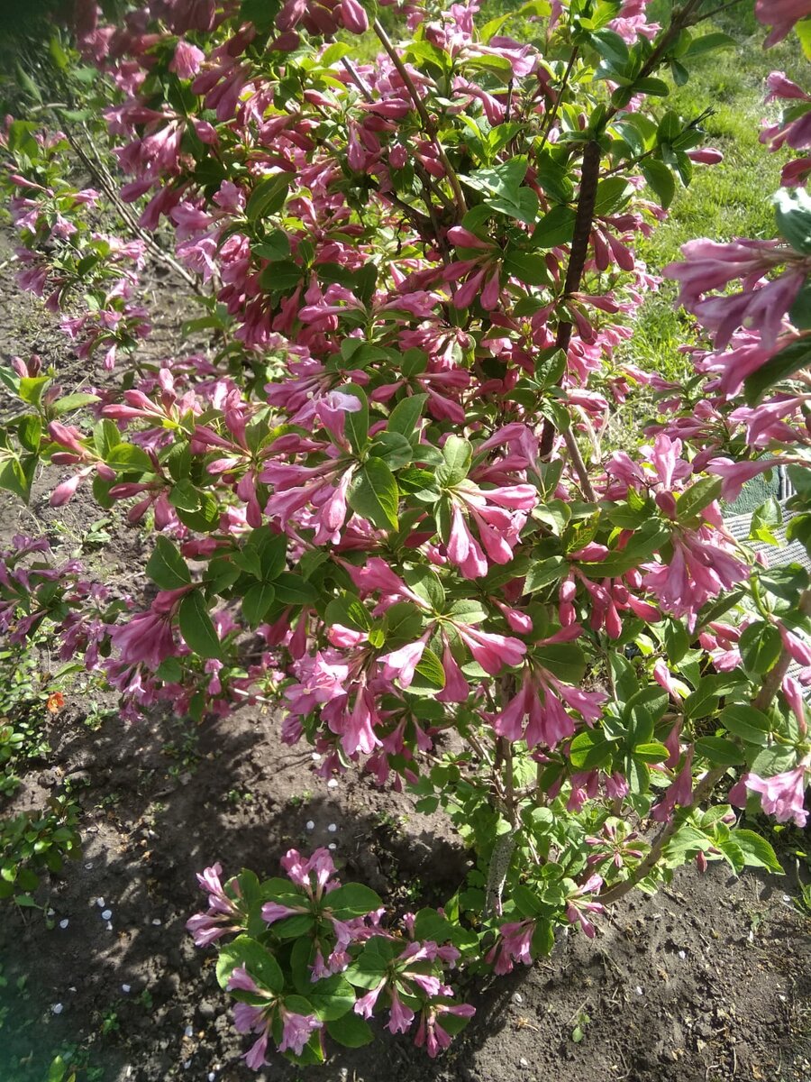 Каждая женщина мечтает быть счастливой. И у каждой из нас понятие о счастье своё.  Чем моложе женщина, тем оно проще: любимый мужчина рядом, дети, домашний уют или обратная сторона свобода, не перед кем не отчитываться, любить так любить 🙂.  Потом с взрослением приходит мысль, а что я из себя представляю как личность? что я могу дать своим детям? как остаться интересной для своего мужчины.? Это малая часть вопросов какие возникают к себе, и я бы сказала: совсем малая часть.  И вдруг приходит осознание, что ты погрузилась в чужую жизнь. Своих детей, мужа, родителей, подруги!! А своих интересов совсем не осталось, я про те вещи от которых пела душа и ты даже уже  не можешь вспомнить, что тебе-лично тебе, доставляло столько радости, что хотелось обнять весь мир.