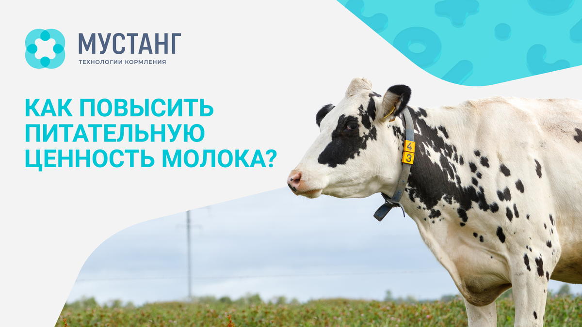 Мустанг технологии. Станция выпойки телят. Питательная ценность молока картинка. Смарт фит выпойка телят фото логотипа
