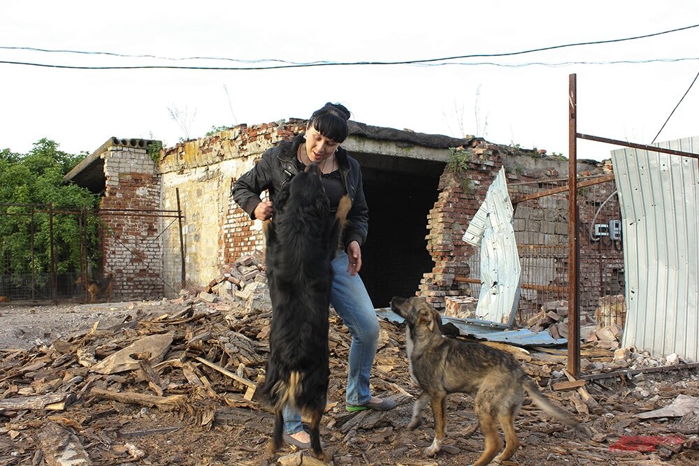    Фото:  АиФ/ Дмитрий Григорьев