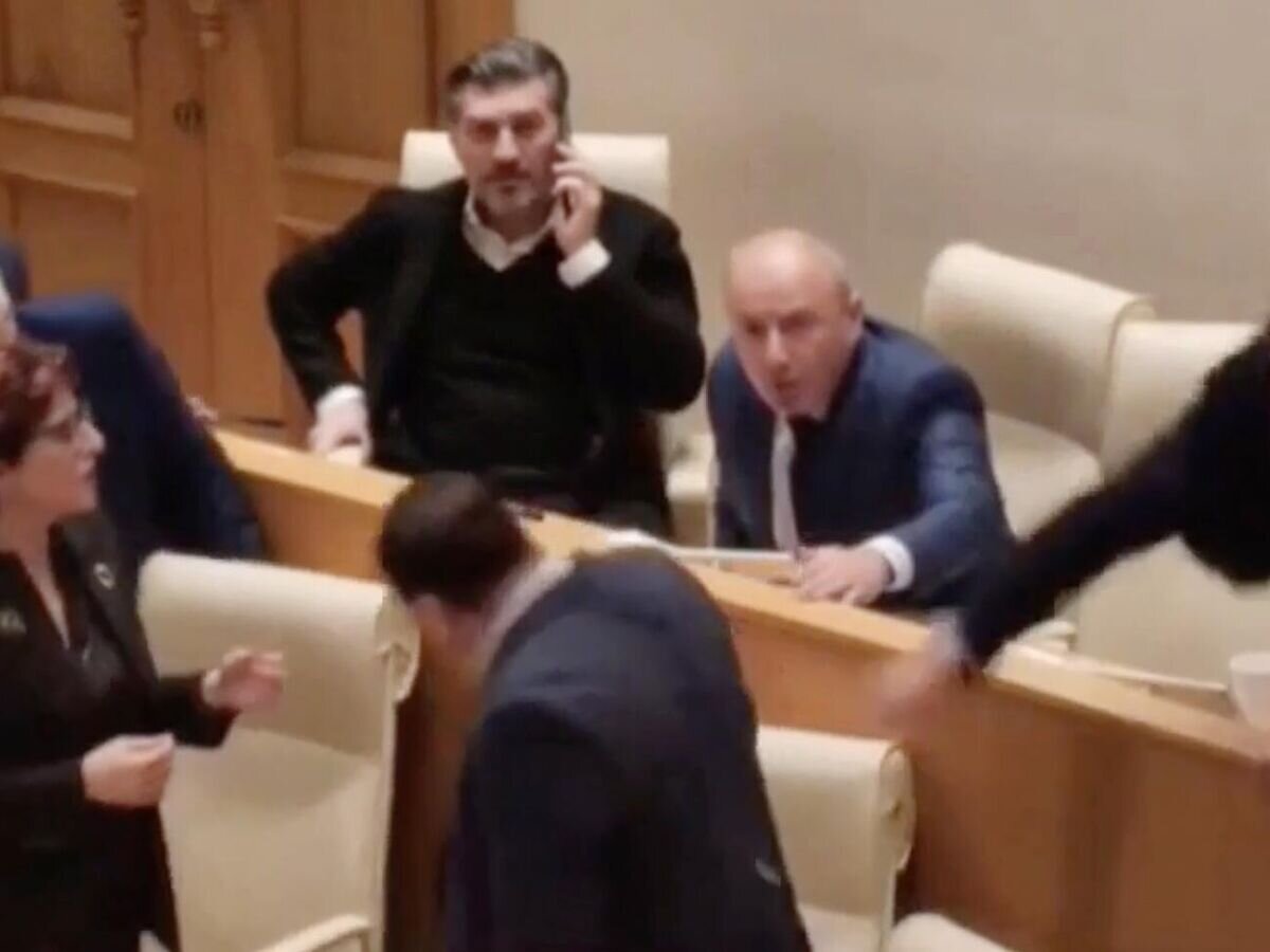    Кадр видео заседания парламента Грузии© Sputnik Грузия/Telegram