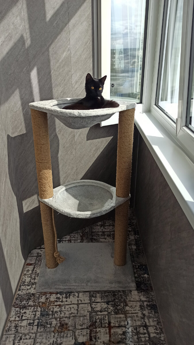 Чеша позер...