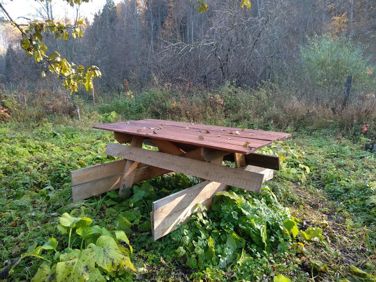 Со скамейки не было видно