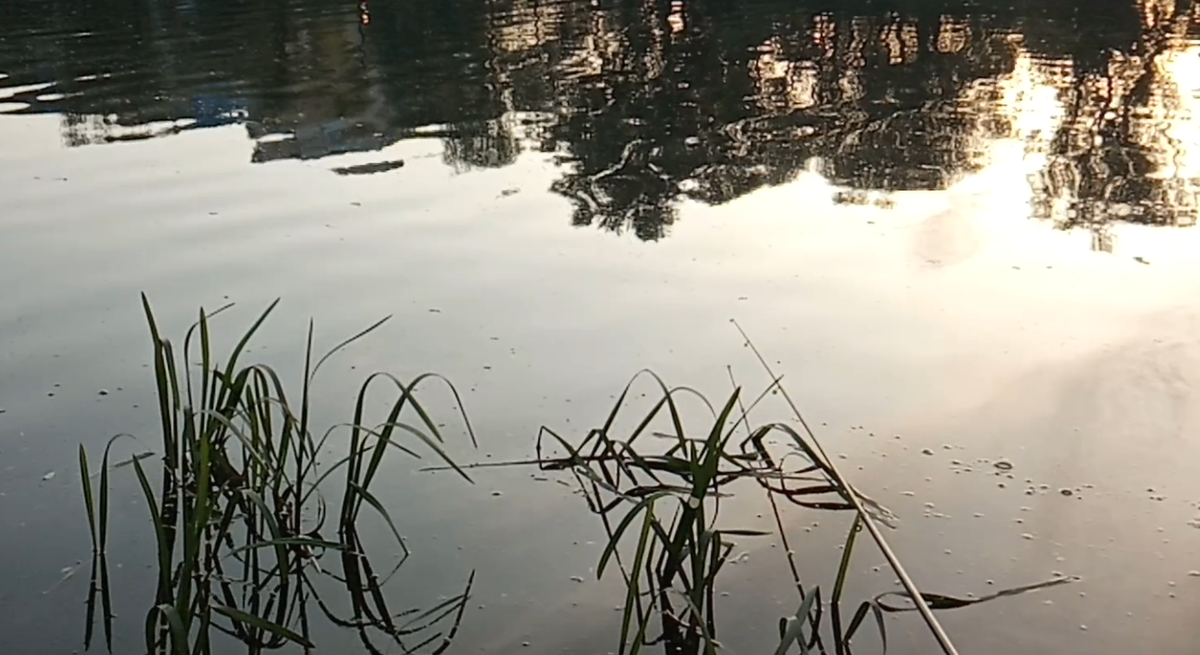 Утро на Оке