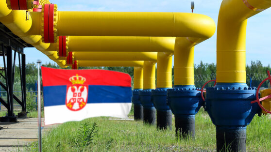    Республика Сербская готова платить за российский газ в рублях Алина Городниченко