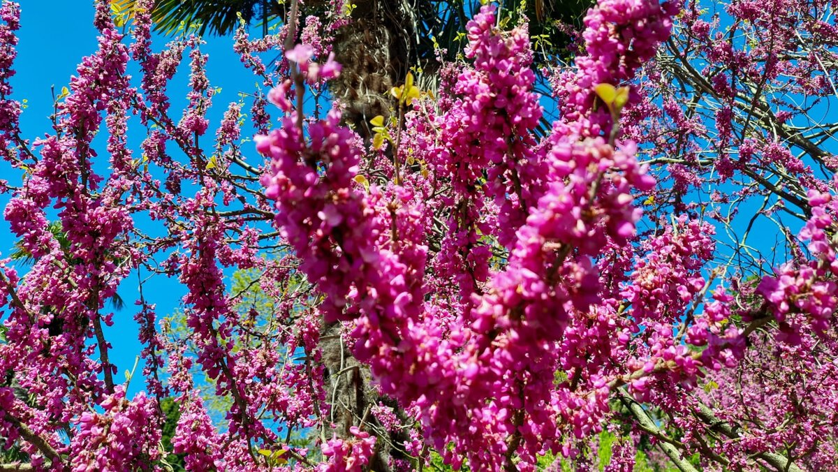 9 Апреля. Парк Южные культуры