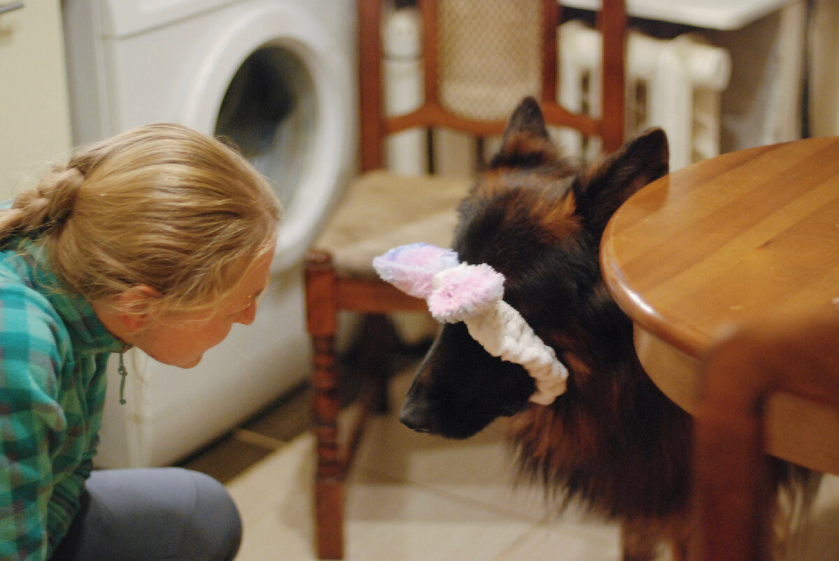 Локи учится команде «стыдно»