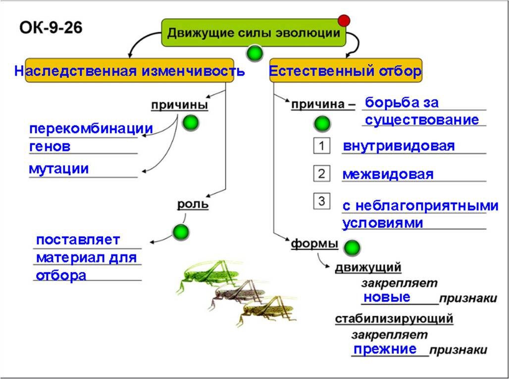 Движущие силы эволюции