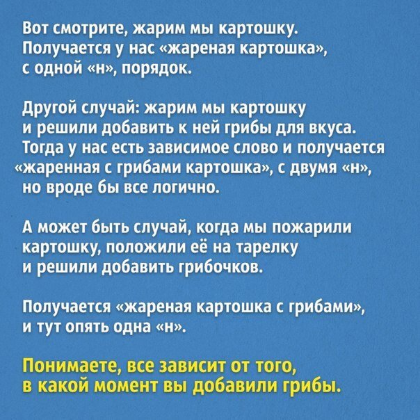 Фото взято из открытых источников 