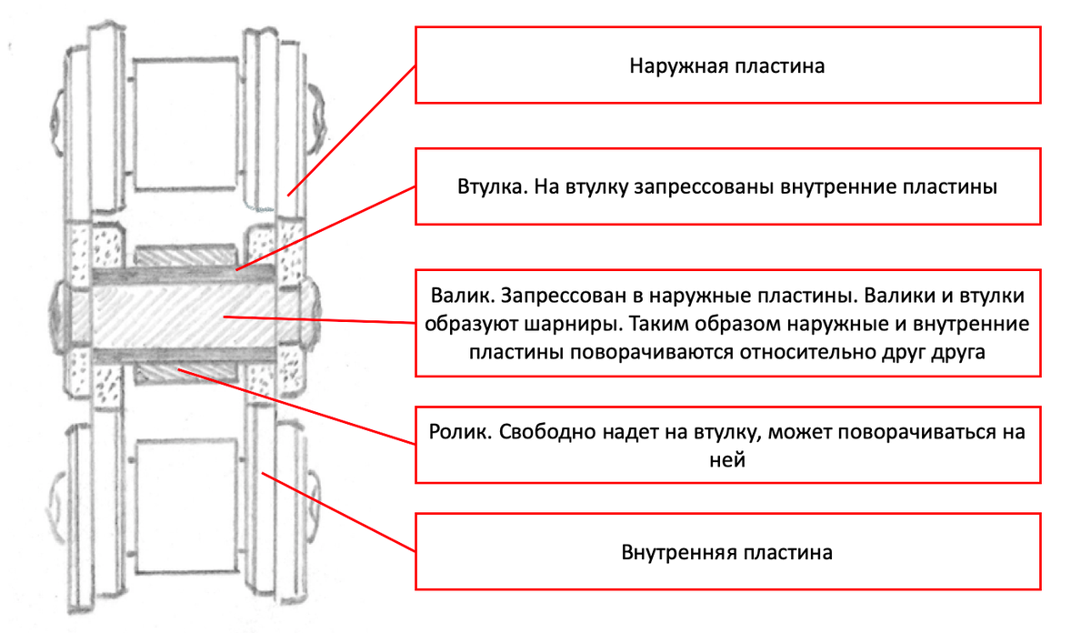 Вот так устроено звено цепи. В данном случае цепь - безсальниковая