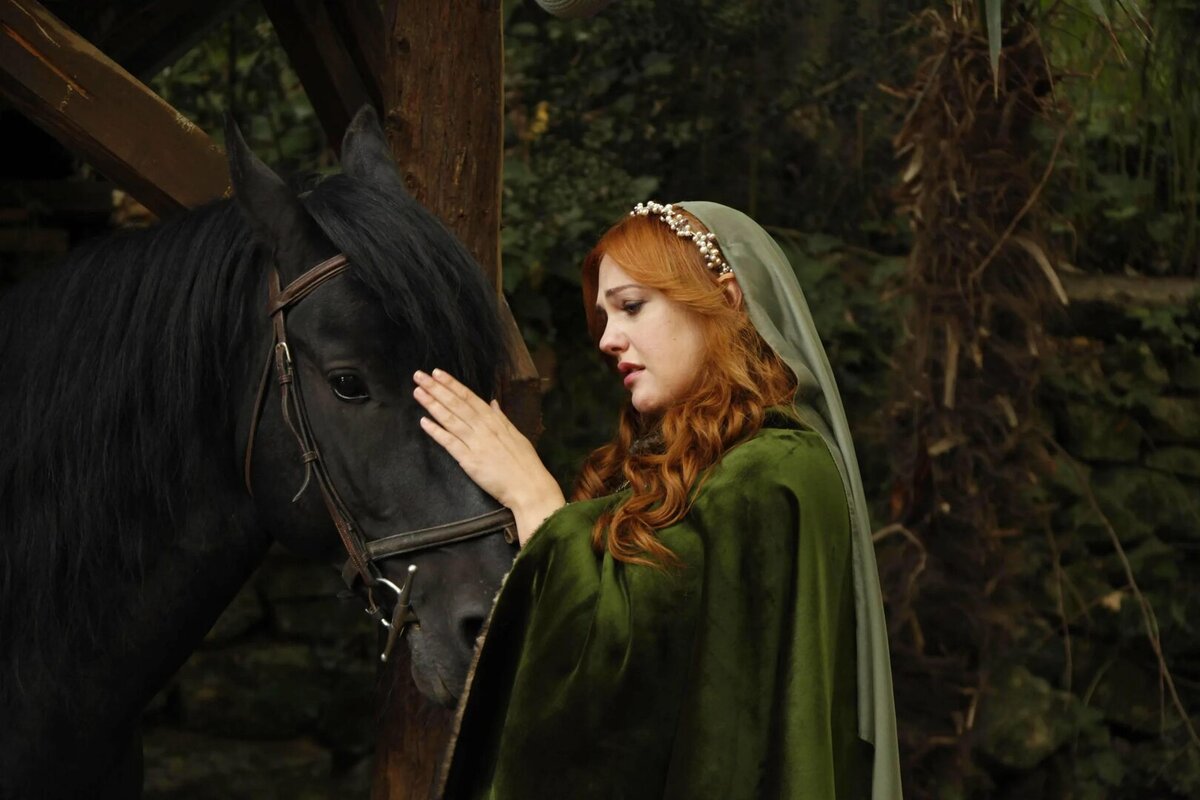 - Какая красивая лошадь! источник: krasivosti.pro