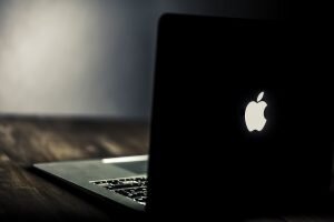   pixabay.com Ирина Кипшидзе