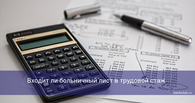Фото: pixabay.com
